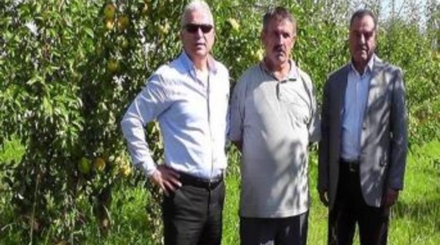 &Ccedil;aycuma&rsquo;da Meyve Yetiştiriciliğinde Gelir Artışı Bekleniyor
