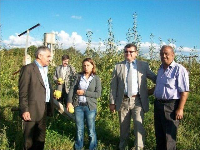 İl &Ouml;zel İdare Tarafından Y&uuml;r&uuml;t&uuml;len Tarımsal Destekleme Projeleri &Ccedil;aycuma&rsquo;da İncelendi 1