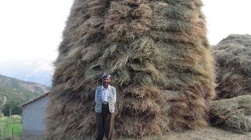 Barışla Birlikte B&ouml;lgeye Bereket Geldi