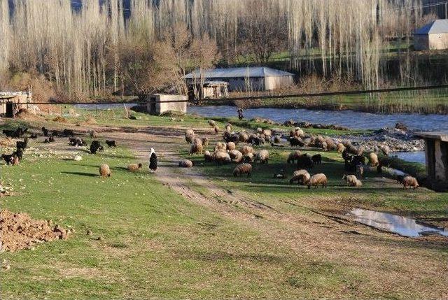 Barışla Birlikte Bölgeye Bereket Geldi