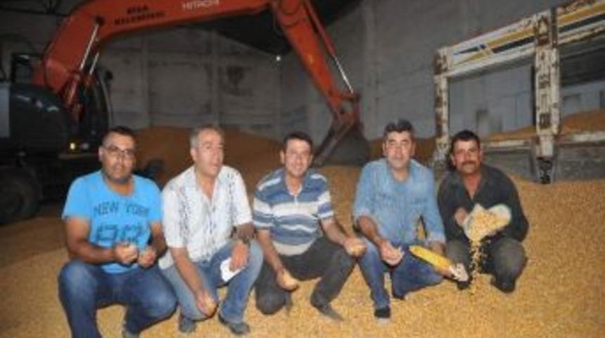 Pamuktan Zarar Eden &Ccedil;ift&ccedil;i Mısıra Y&ouml;neldi