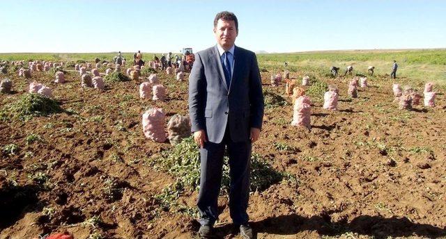 Bitlis’te Bu Yıl Patatesten 80 Milyon Lira Gelir Elde Edildi