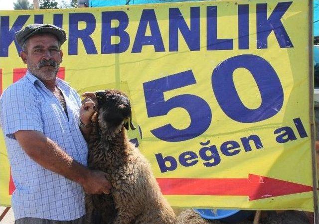 (özel Haber) 250 Liraya Kurbanlık 2