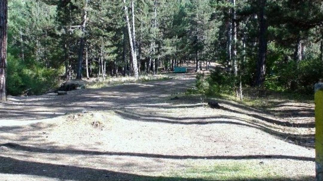 Gediz'in Karapınar Yaylası'ndaki Piknik Rezaleti G&ouml;renlerin Y&uuml;reklerini Sızlatıyor