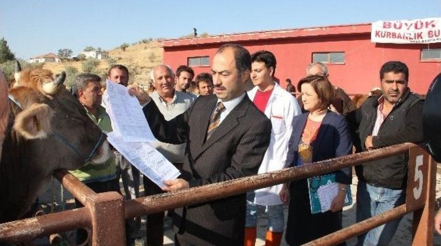 Hayvan Pazarlarında Denetimler Sıklaştırıldı