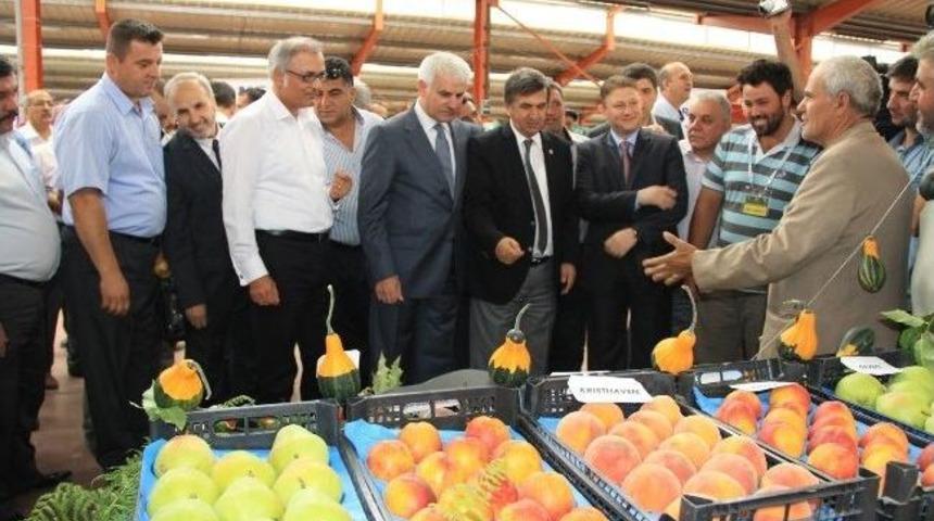 İneg&ouml;l Tarım Fuarı Hedefine Ulaştı