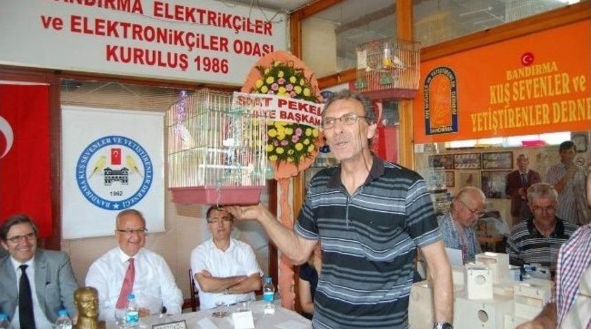 Binlerce Liralık Kuşlar Kapışıldı