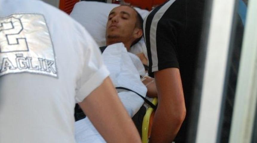 Yaralı Domuz Çobana Saldırdı