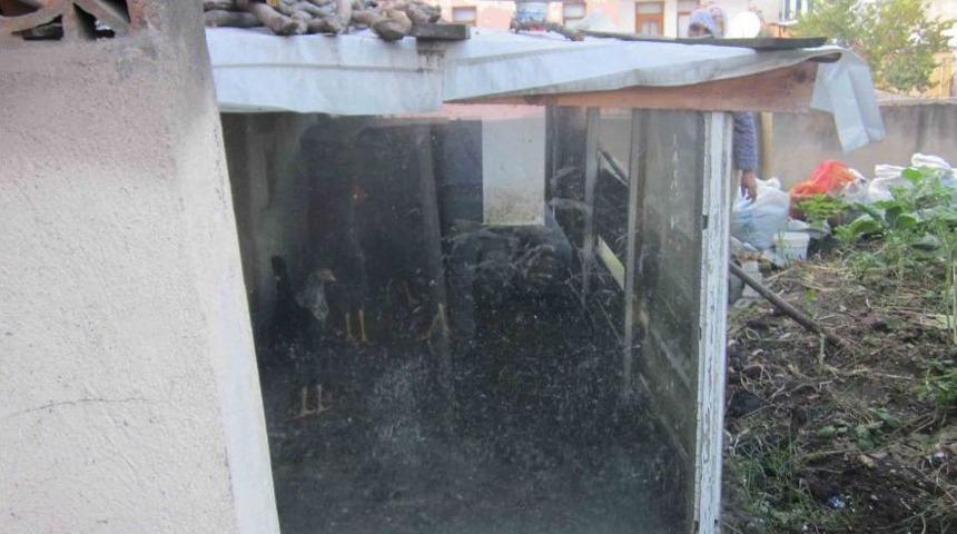 Evin &Ccedil;atısındaki Bah&ccedil;ede Yok Yok