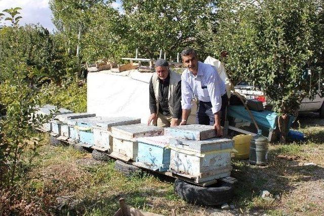 Bal Üretiminde Barkod Uygulaması Başladı