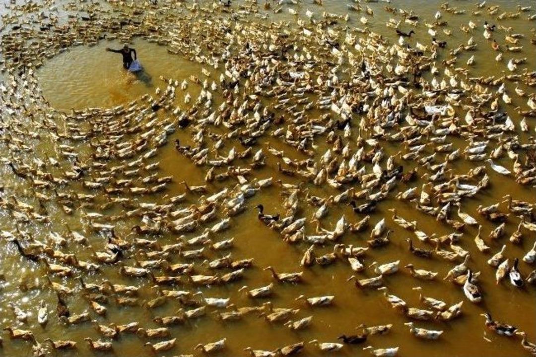D&uuml;nyanın En B&uuml;y&uuml;k Fotoğraf Festivalinde B&uuml;y&uuml;k Yarış Sonu&ccedil;landı