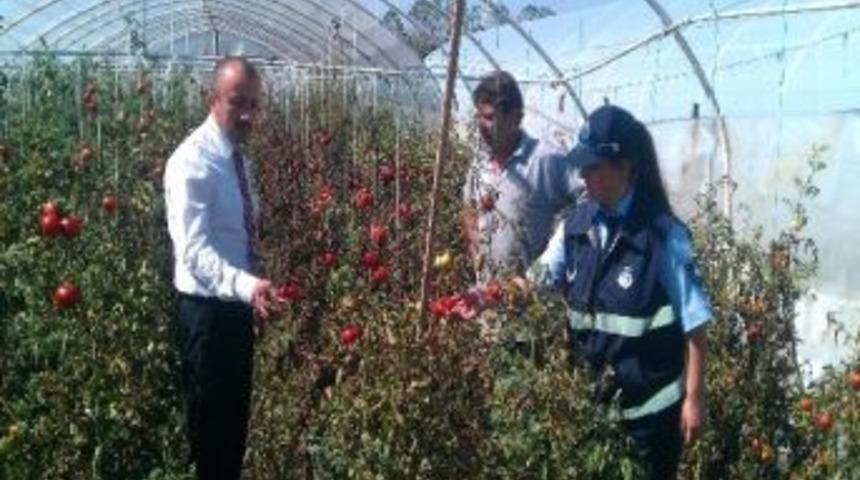 K&ouml;yl&uuml; &Uuml;retimine Zabıta Denetimi