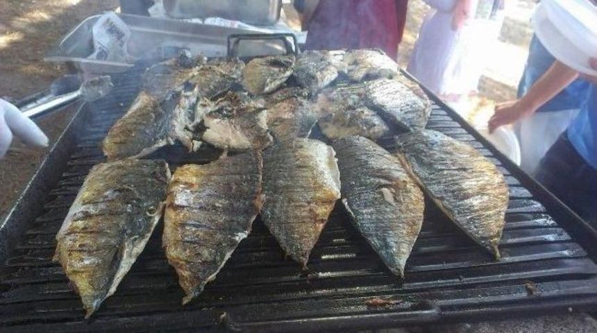 Ak Gen&ccedil;lerden Palamut Ziyafeti