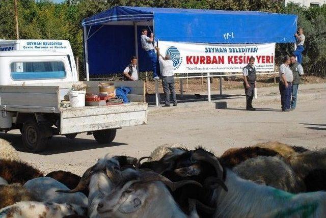 Seyhan'da Kurban Satış Ve Kesim Yerleri Belirlendi