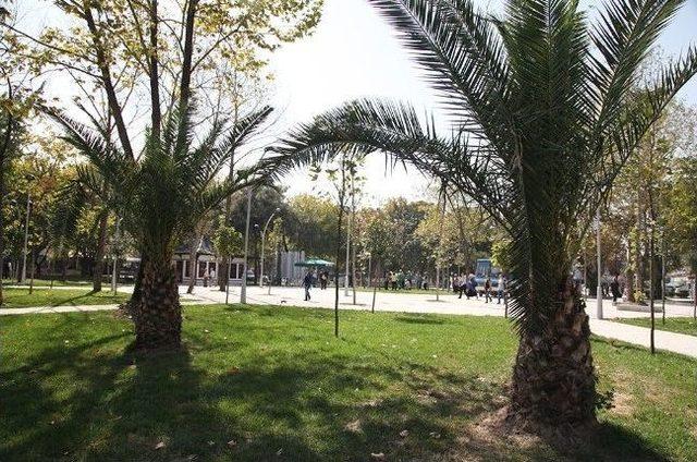 Şemsiyeli Park Açılıyor