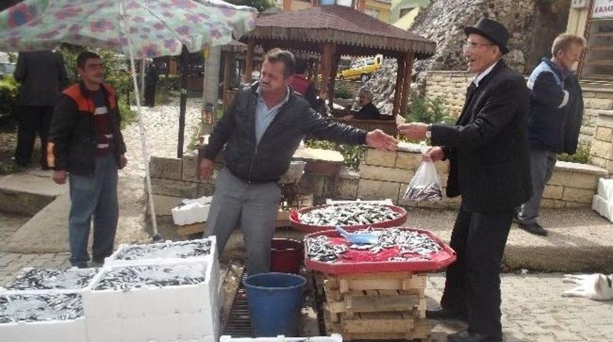 Tezgahlarda Hamsi Bolluğu