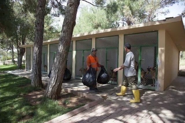 Şehitkamil’in Bayat Ekmek Toplama Projesi Rekora Koşuyor