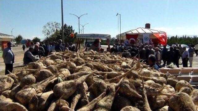 Erciş Şeker Fabrikası'nda 26. Dönem Pancar Alım Kampanyası Başladı