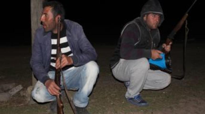 Domuzlara Karşı 12 Saat N&ouml;bet Tutuyorlar