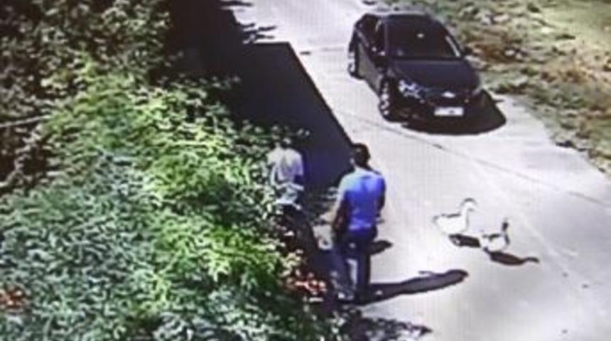 Adana'da 3 kişinin &ouml;ld&uuml;ğ&uuml; &lsquo;kaz&rsquo; kavgası