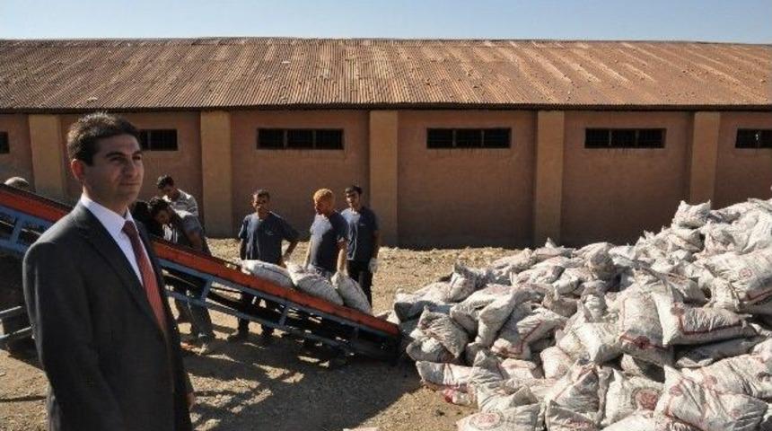 Siirt&rsquo;ta 19 Bin Aileye, 19 Bin Ton K&ouml;m&uuml;r Dağıtılacak