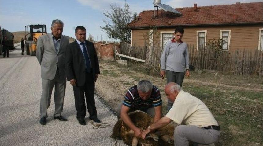 Kurban Kesimli Asfalt Yapımı
