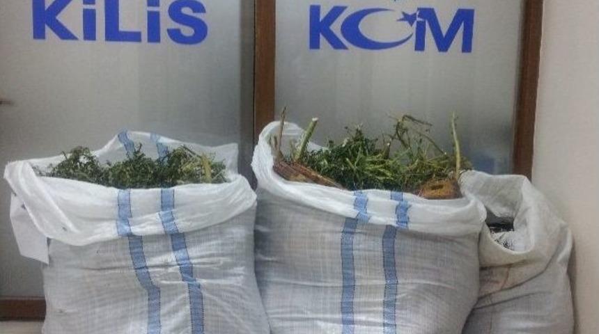 Baba İle Oğlu Esrardan Tutuklandı