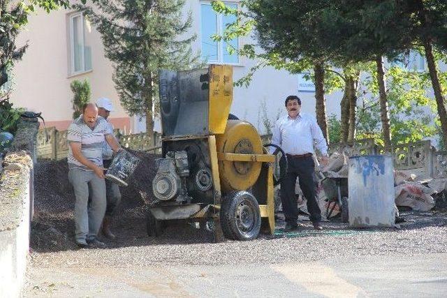 Alaplı'da Doğal Gaz Çalışmaları