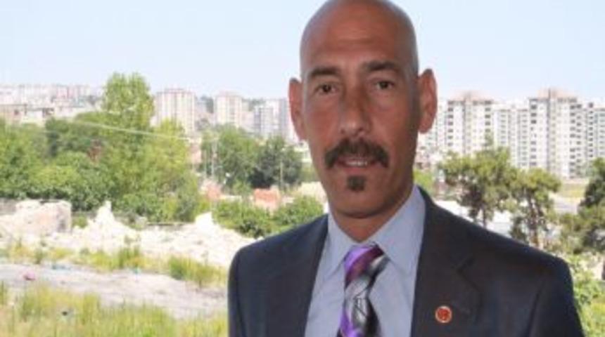 Romanlar, Roman Dil Ve K&uuml;lt&uuml;r Enstit&uuml;s&uuml;&rsquo;n&uuml; Olumlu Buldu