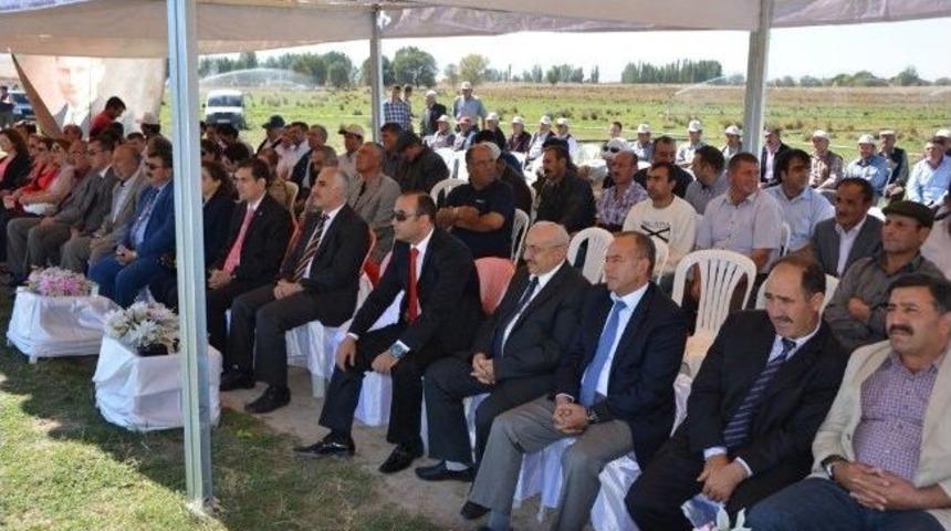 Afyonkarahisar&rsquo;da&lsquo;halk Elinde K&uuml;&ccedil;&uuml;kbaş Hayvan Islahı Projesi&rsquo;