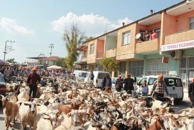 Yörükler İzmir’de Buluştu