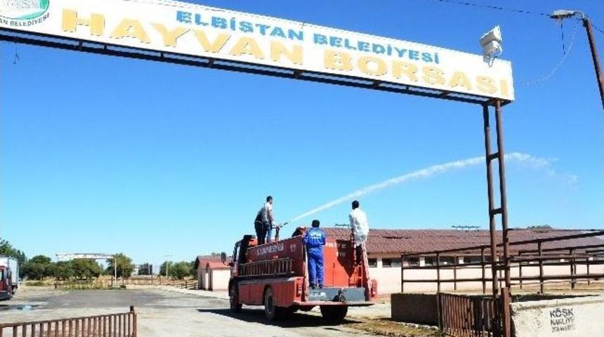 Hayvan Borsası 7 Ekim&rsquo;de A&ccedil;ılacak