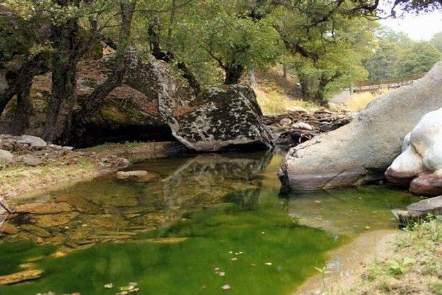 Doğaseverler Madran&rsquo;a Y&uuml;r&uuml;d&uuml; 2