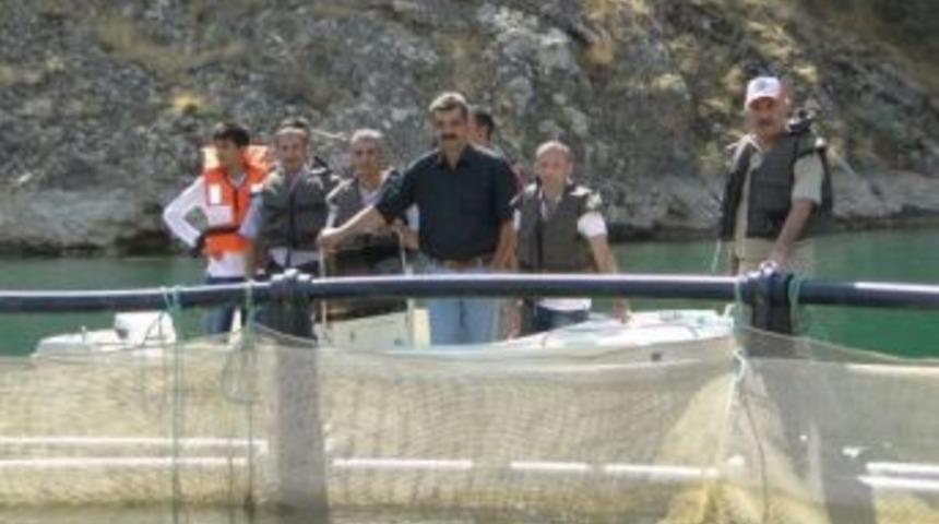 Malatya Alabalık &Uuml;retiminde 5. Sıraya Y&uuml;kseldi