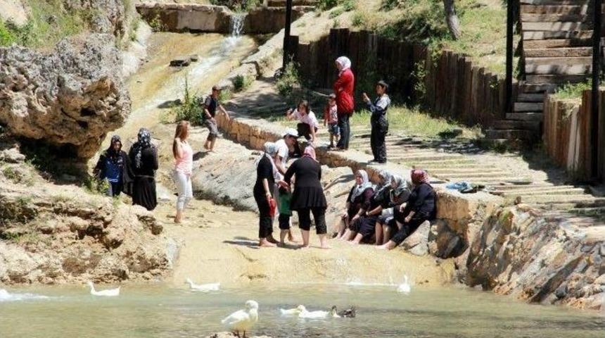 Sivas Belediyesi&rsquo;nin Paşafabrikası Gezi Turları Devam Ediyor