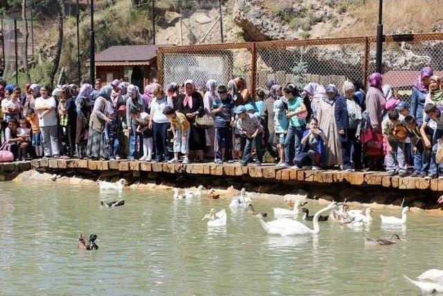 Sivas Belediyesi’nin Paşafabrikası Gezi Turları Devam Ediyor