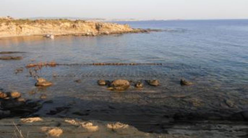 Sahildeki Kayalar Suyun Etkisiyle Hayvan Fig&uuml;rlerine D&ouml;n&uuml;şt&uuml;