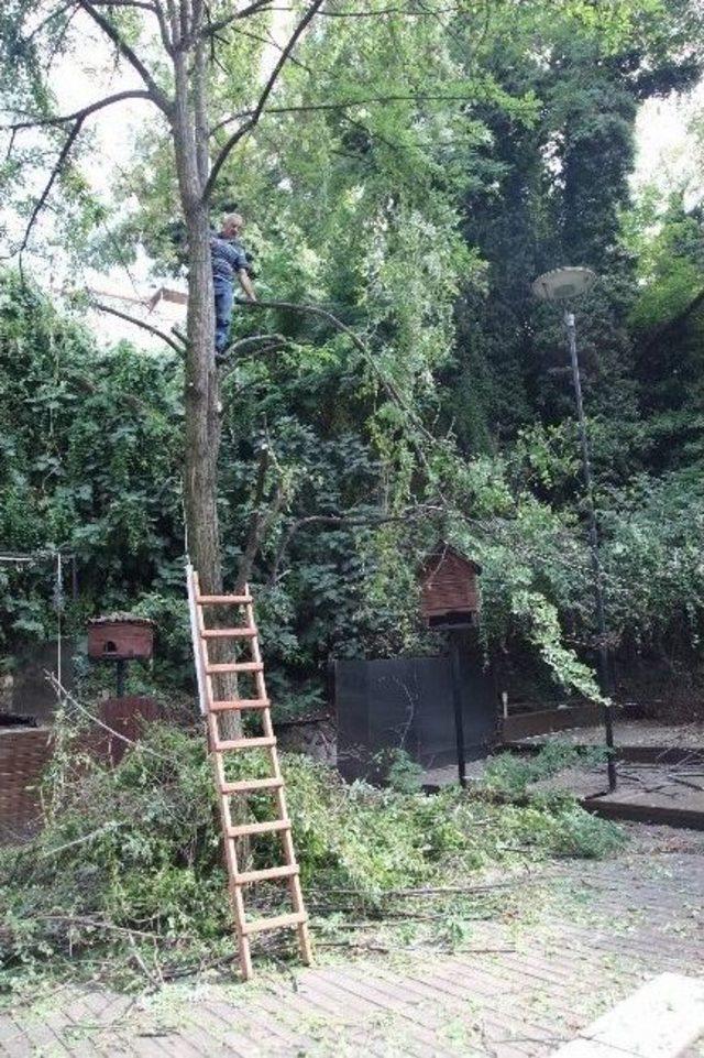 Bursa nın Simgesi Mahfel Bayramda A&ccedil;ılıyor 2