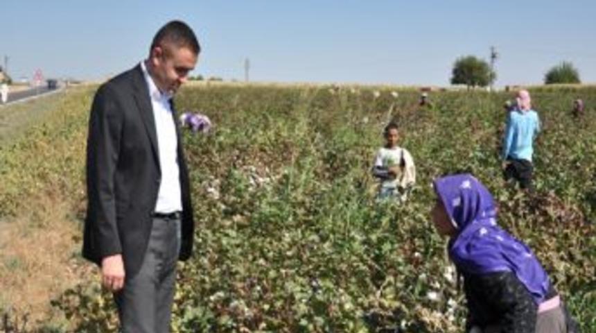 Kaymakam Sarı, Pamuk Iş&ccedil;ilerini Ziyaret Etti