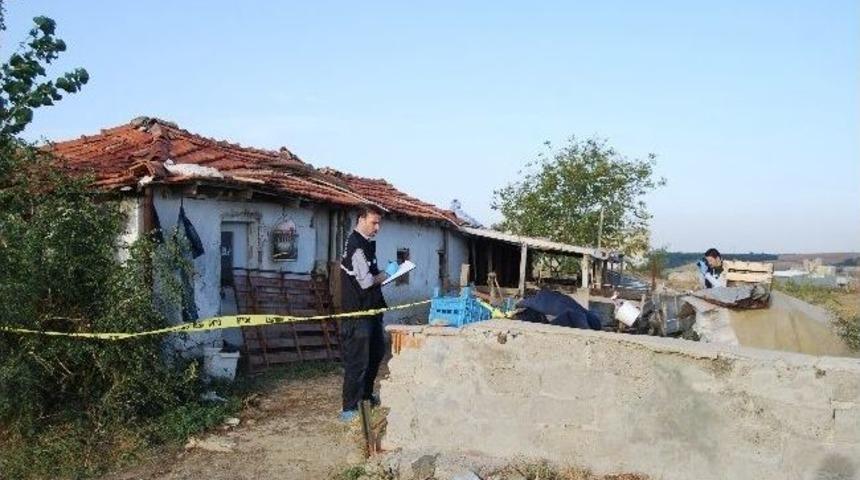 Kurban Bayramı Yaklaştı, Hayvan Hırsızlıkları Başladı