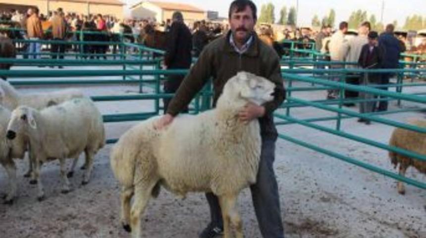 Kurbanlık I&ccedil;in Hayvan Pazarları Hareketlendi
