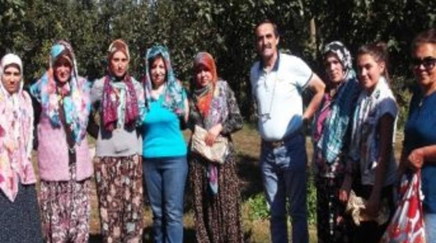 Chp &Uuml;yeleri, Tarlada &Ccedil;alışan Kadınlara Baş &Ouml;rt&uuml;s&uuml; Hediye Etti