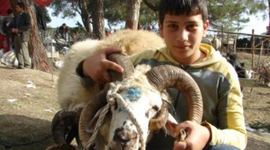 Kurbanlıkta Ağız Ve Burun Akıntısı Hayvanın Sağlığı Hakkında Ipucu Veriyor