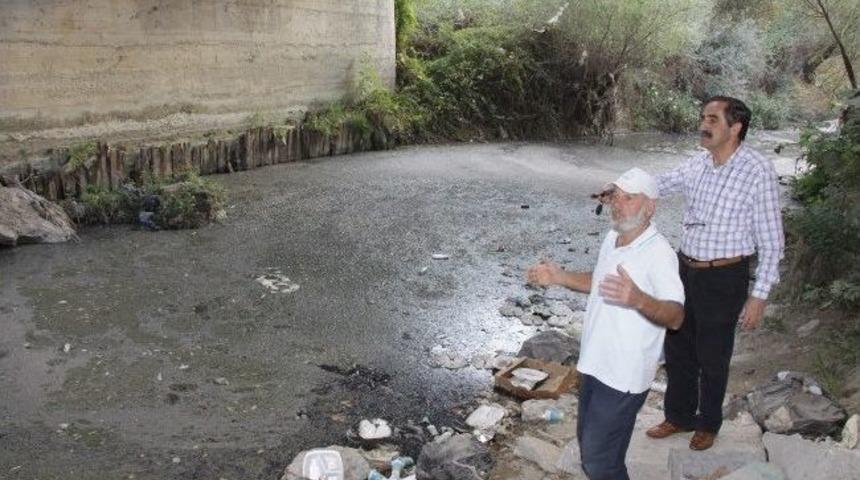 Bu Derenin Suyuyla Marulları Suluyorlar