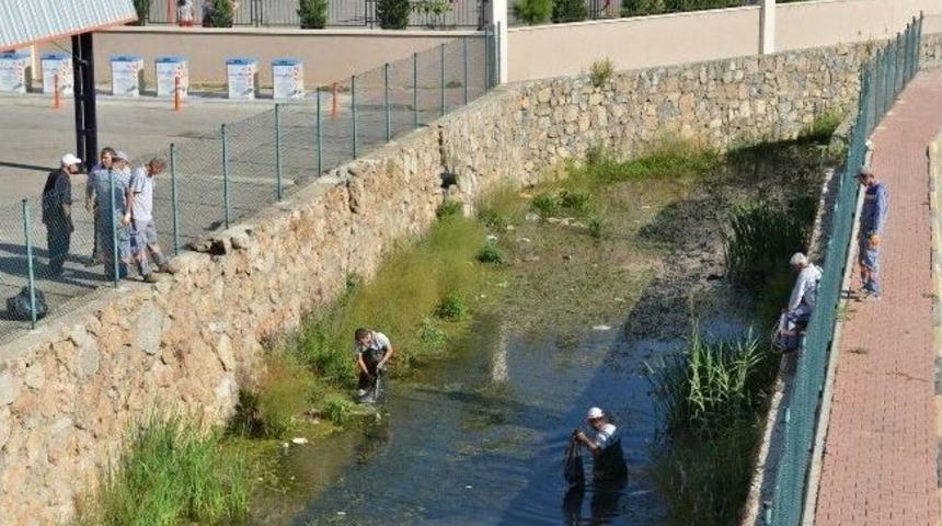 Konyaaltı&rsquo;nda Kış &Ouml;ncesi Dere Temizliği
