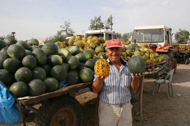 -Edirne'den Kısa Kısa