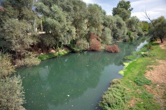 Bursa'da Balık Ölümleri