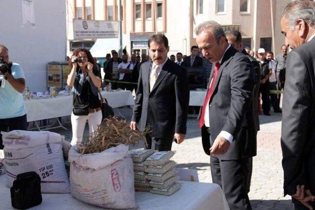 Tunceli Dağ Sarımsağı Ve Fasulyesi Yok Olmaktan Kurtarılarak Markalaştırıldı