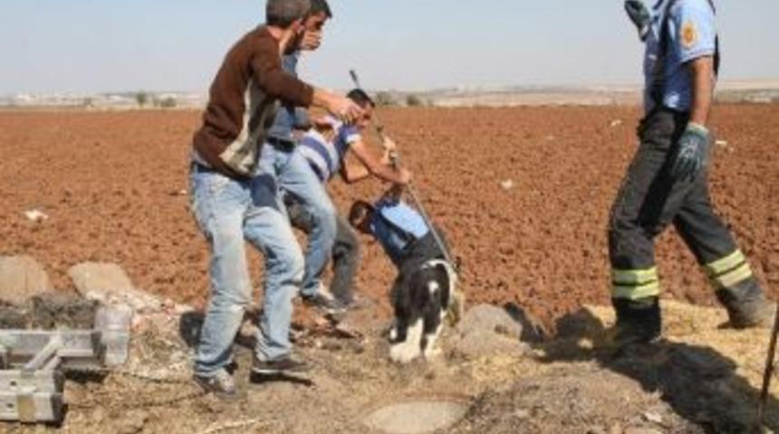 (&ouml;zel Haber) İtfaiye Ekiplerinden K&ouml;pek Kurtarma Operasyonu