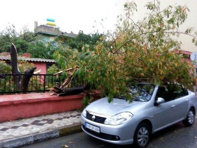 S&ouml;ke&rsquo;de Etkili Lodos Ve Sağanak Yağış 1